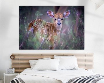 Nyala young by Larissa Rand