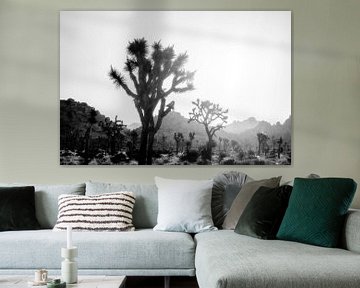 Dreaming Among The Joshua Trees by Joseph S Giacalone Photography