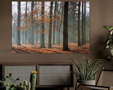 Forêt de hêtres avec brume matinale sur l'Utrechtse Heuvelrug - Pays-Bas sur Sjaak den Breeje