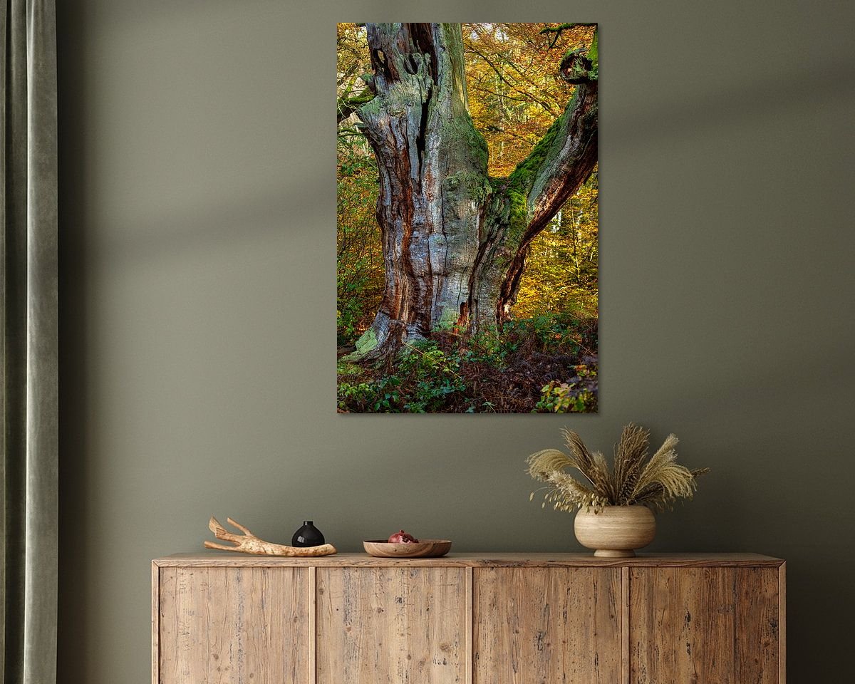 Raumvorschau