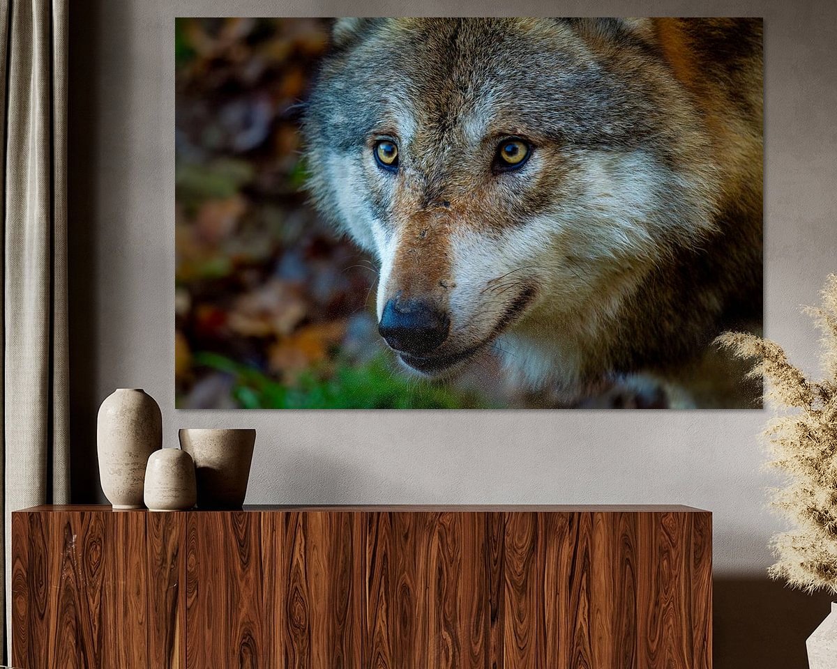 Raumvorschau