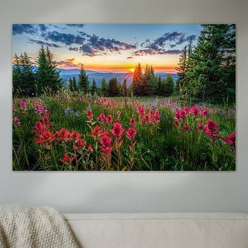 Wildes Licht - Wildblumen-Sonnenuntergang Foto