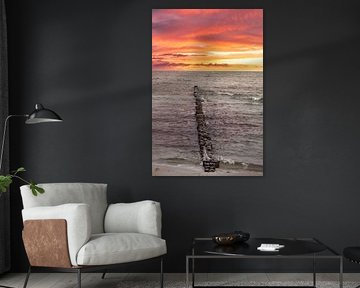 Epi individuel sur la mer Baltique