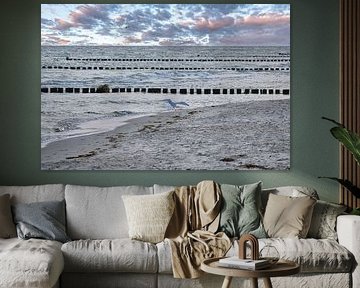 Epi individuel sur la mer Baltique