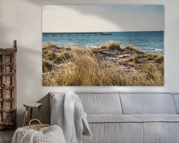 Groyne in Zingst aan de Baltische Zee, die in zee reikt. van Martin Köbsch