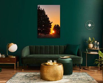 Zonsondergang achter bomen