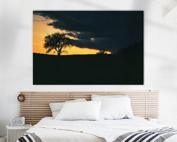Zonsondergang achter bomen