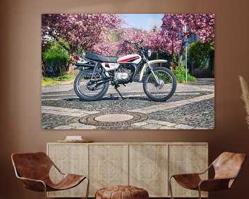 Yamaha DT 50 met Japanse kersenbloesems in de lente van Wilde50er