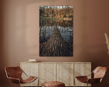 Herbst in der schönen Landschaft von Robby's fotografie