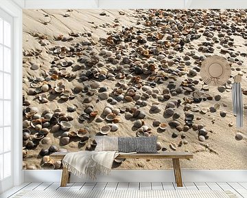 shells on the beach by M. B. fotografie