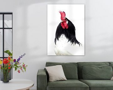 Rooster by Ruurd Jelle Van der leij