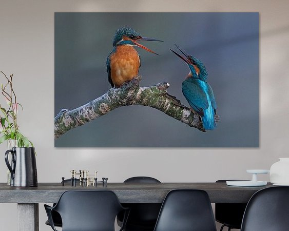 Aperçu de la chambre