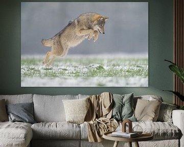 Wolf springt op muis van Ruurd Jelle Van der leij