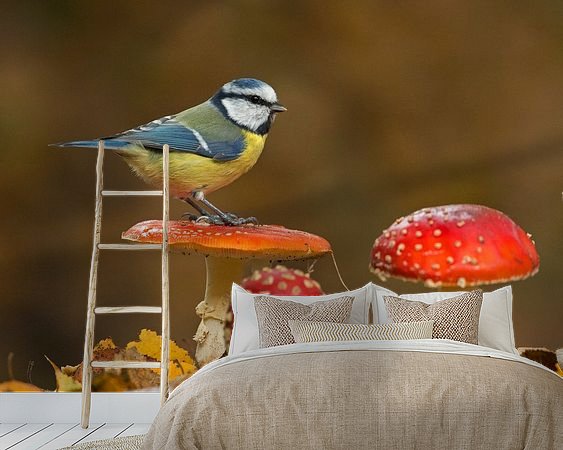 Aperçu de la chambre