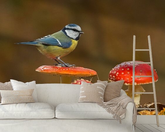 Aperçu de la chambre