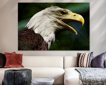 Portrait bald eagle 2 by Jürgen Hüsmert