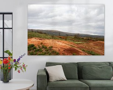 Landscape with orange-coloured ground in Iceland | Travel photography by Kelsey van den Bosch