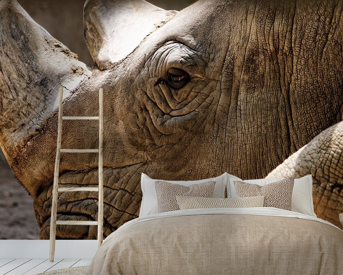 Raumvorschau