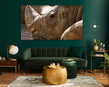 Neushoorn portret