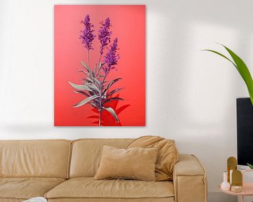 Bloom by Abstract Painting