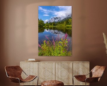 Purple loosestrife (Lythrum salicaria) at the moor pond near Oberstdorf by Walter G. Allgöwer