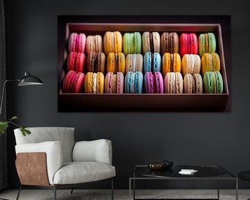 Des macarons enchanteurs aux couleurs délectables sur Karina Brouwer