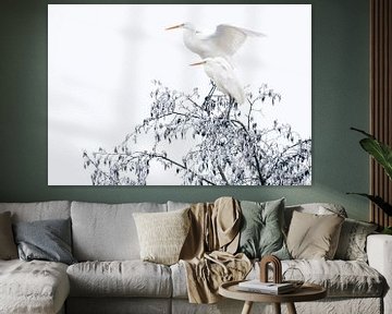 Great egrets in winter by Ruurd Jelle Van der leij