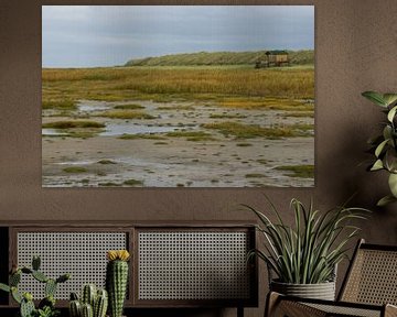 Strand Schiermonnikoog met drenkelingenhuisje van Robben