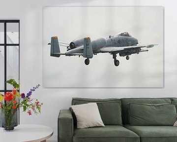 A-10A Thunderbolt II van Robben