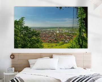 Ville de Fellbach près de Stuttgart, Allemagne, depuis le Kappelberg dans une magnifique atmosphère printanière sur adventure-photos