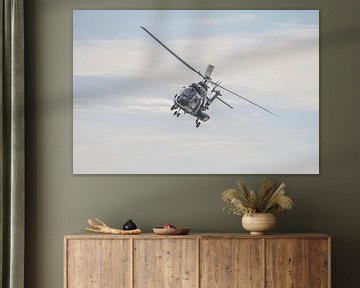 Cougar helicopter 2