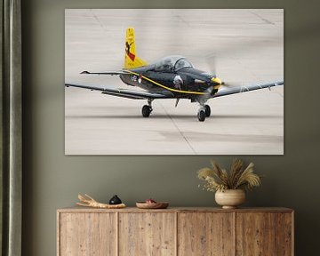 PC-7 with special painting by Robben