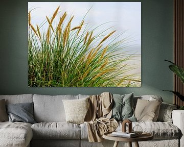 Late winter day colours Schiermonnikoog golden yellow-2 by Dan Photo Shaman