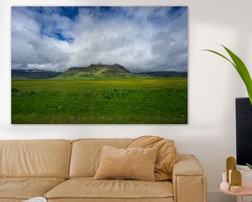 Islande - Fleurs jaunes devant une montagne verte dans les nuages sur adventure-photos