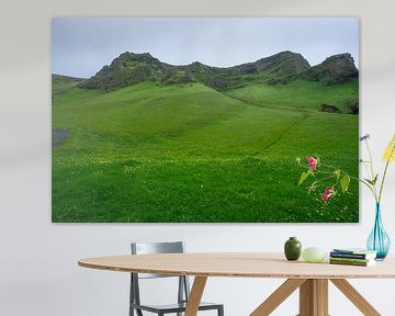 IJsland - Groene weide en berglandschap natuur panorama uitzicht van adventure-photos