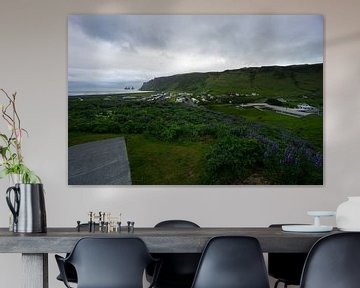 Islande - Petit village vik sur la côte sud avec des lupins violets sur adventure-photos