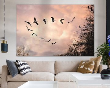 De vlucht van de Blauwe Reiger | Zonsondergang | Vogelfotografie | fotobehang van Laura Dijkslag