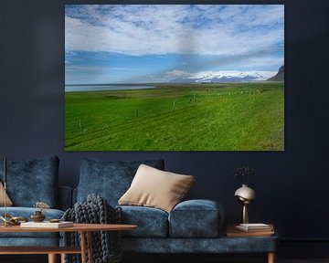 Island - Schafe auf grüner Wiese mit Wasser und Gletscher und weiß von adventure-photos