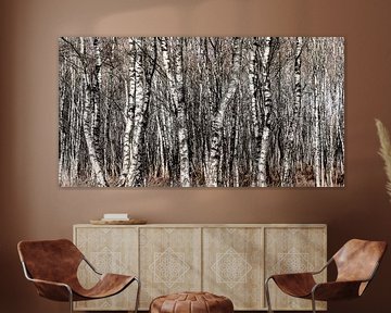birch logs by jowan iven