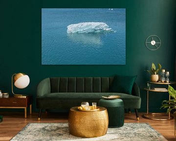 Iceland - Four birds sitting on crystal clear ice floe on glacial lake Jökulsárlón by adventure-photos