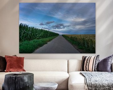 Germany - Road through fields of corn and wheat with blue sky at dawn by adventure-photos