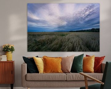 Germany - Colorful dramatic sky and wide fields of barley ahead by adventure-photos