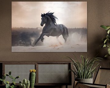 Etalon frison au galop | photographie de cheval sur Laura Dijkslag