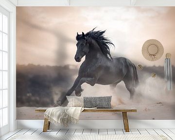 Friesian stallion in gallop | horse photography by Laura Dijkslag