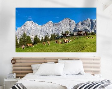 Les vaches paissent sur l'alpage de Walcheralm sur Christa Kramer