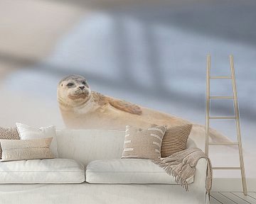 common seal