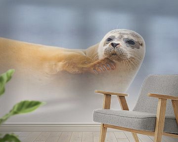 common seal