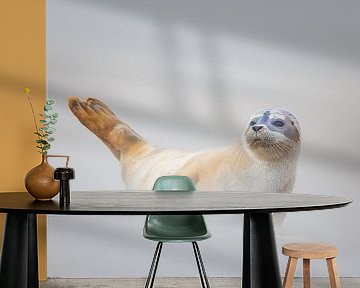 common seal