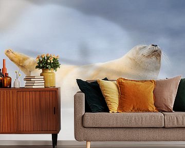common seal