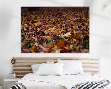 veel kleurrijke herfstbladeren liggen op de bosgrond